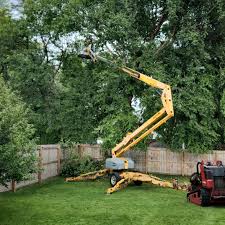 How Our Tree Care Process Works  in  Carlisle Rockledge, AL