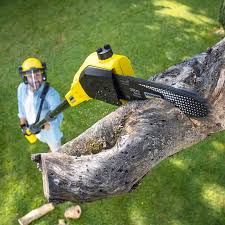 Lawn Renovation and Restoration in Carlisle Rockledge, AL